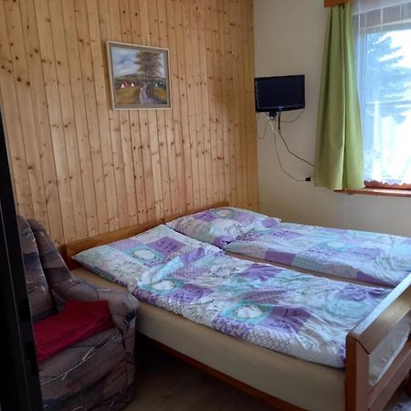 Apartman Na Polesi Дештне-в-Орлицьких-Горах Екстер'єр фото